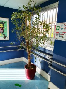 Foto de una planta de interior del centro