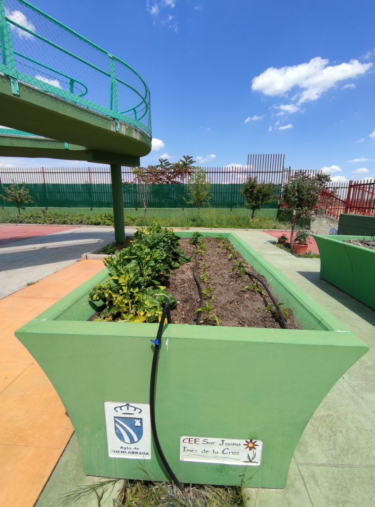 Foto de bancal del huerto trasero