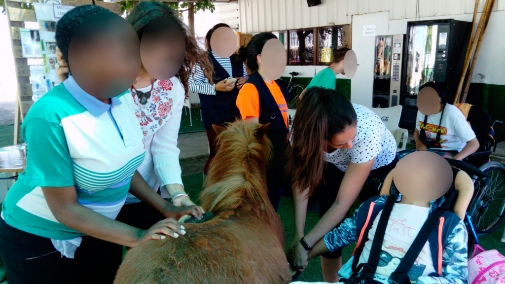 Alumnas adaptándose durante sesión de equino-terapia