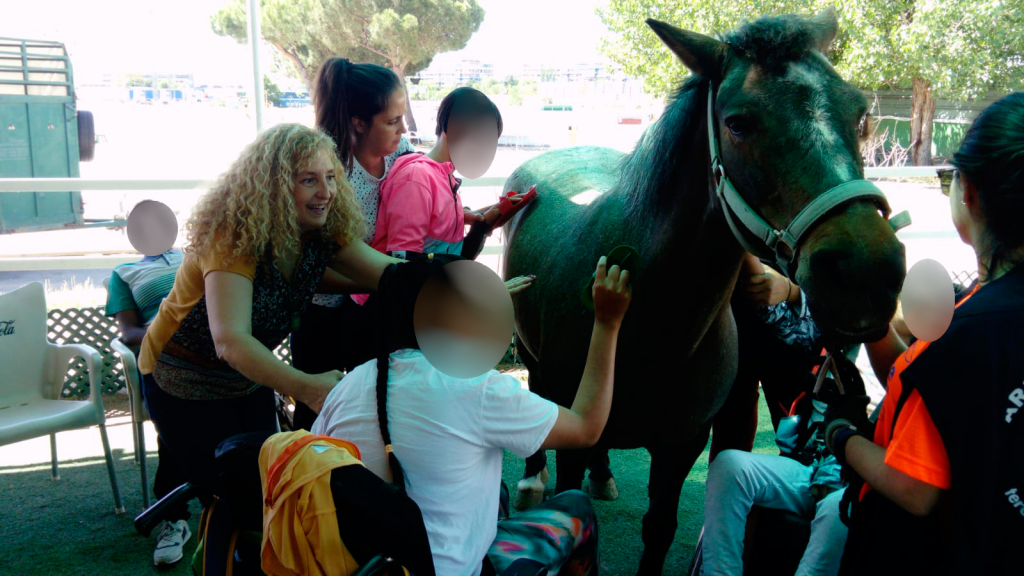 Alumnas peinando a un poni durante sesión de equino-terapia