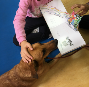 Foto de actividad de lectura con perros