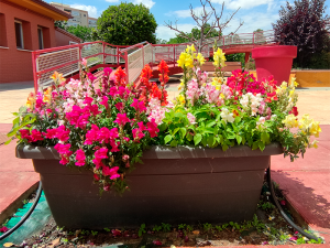 Foto de una jardinera con flores