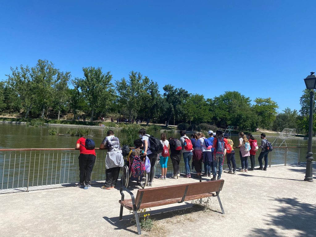 Alumnos de EBO mayores mirando las aves del lago