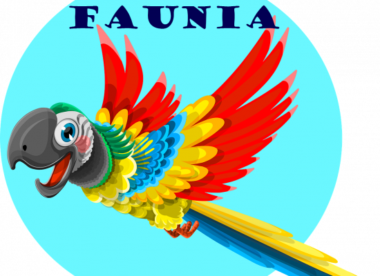 IMAGEN DE LORO