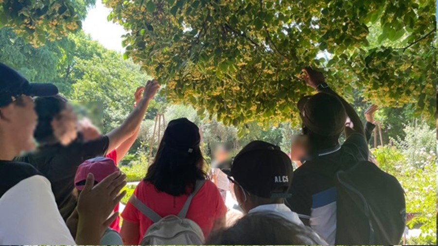alumnos en el jardín botánico