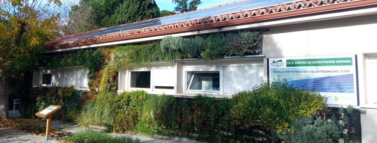 Proyecto Sostenibilidad: Jardín Vertical (Sumidero de CO2)