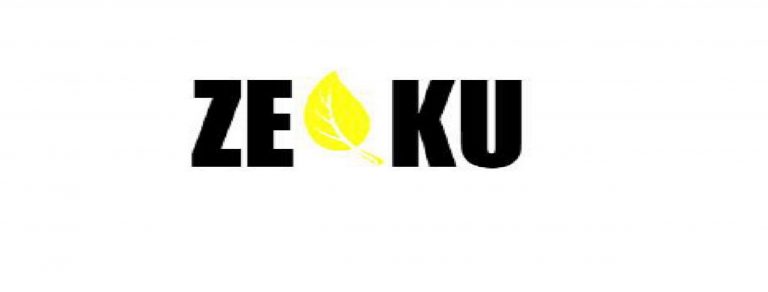 Proyecto ZEKU