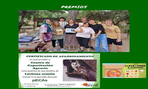 Proyecto: Docendo Discimus