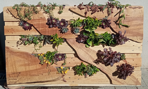 Proyecto: JARDINES VERTICALES MODULARES