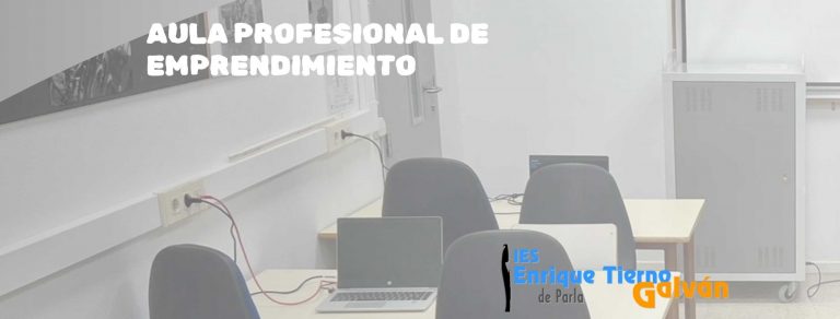 PROYECTO PRUEBA IES TIERNO PARLA 2024