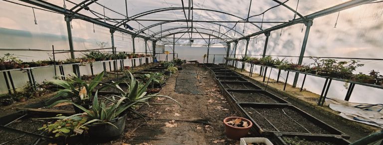GARDEN CENTER