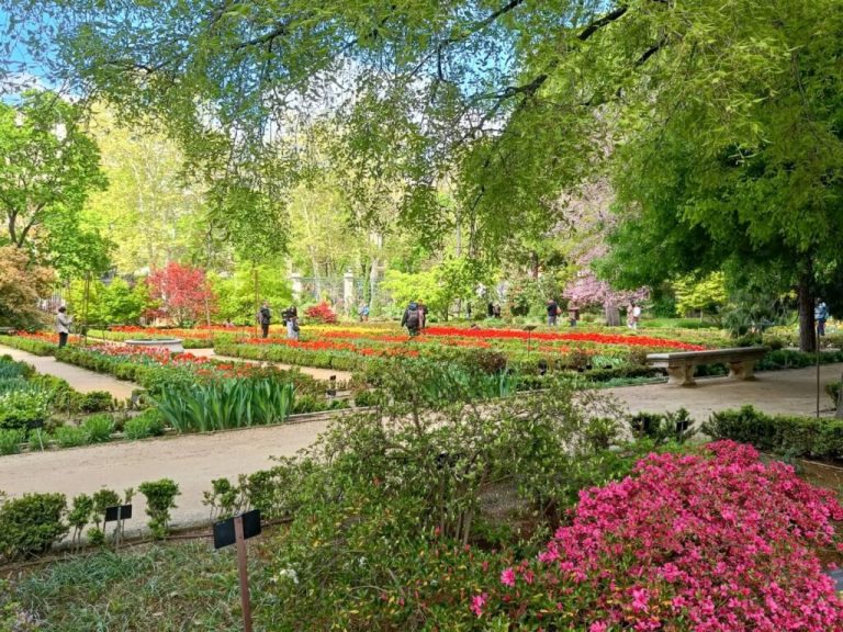 JARDIN BOTANICO. IES Ciudad de Jaén