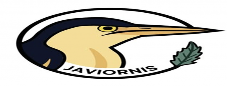 PROYECTO @JAVIORNIS_