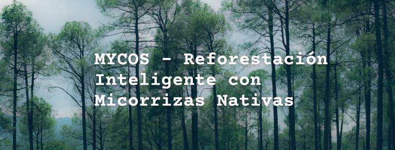 Proyecto 3 IES LOPE DE VEGA