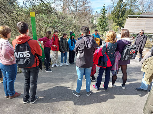 Viaje a Suiza · Actividades