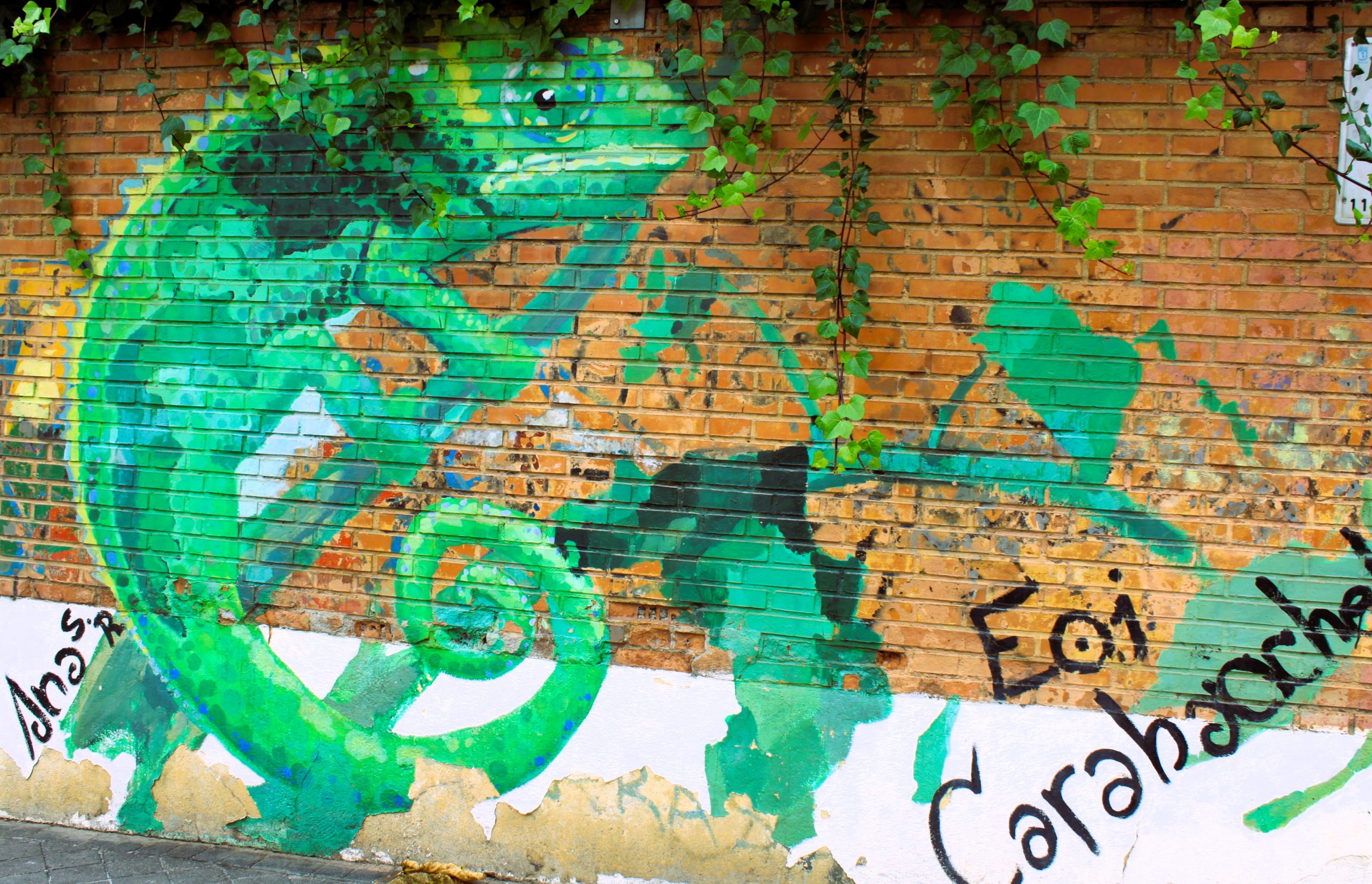 Galería 1