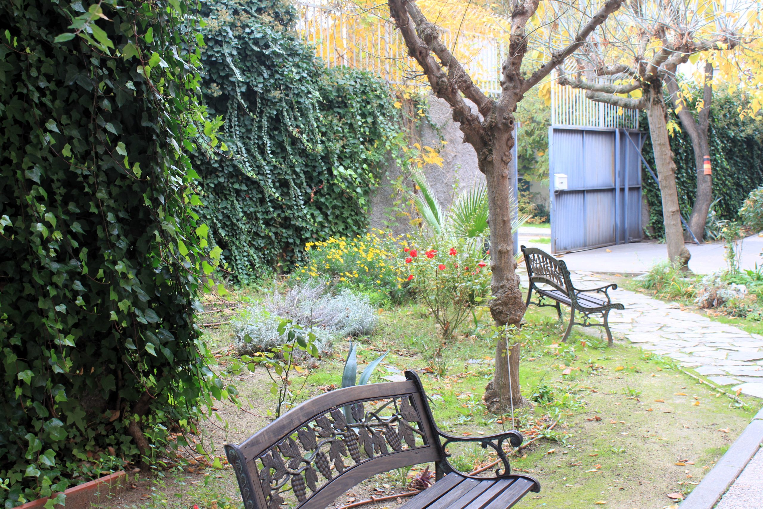 Galería 4