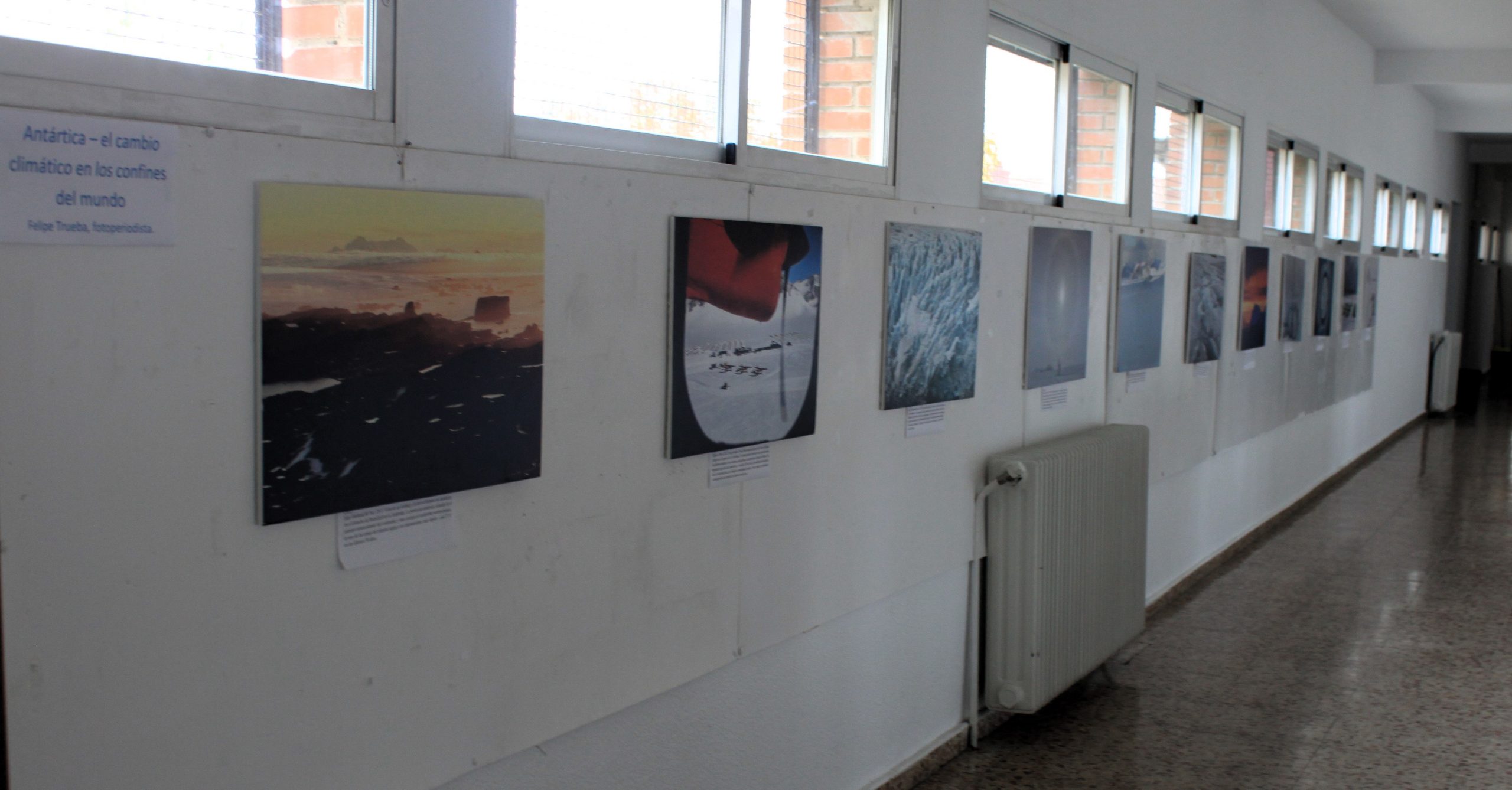 Galería 5