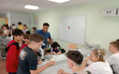 galeria8