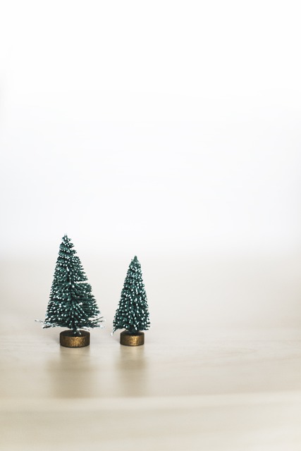Concurso de Christmas 2021