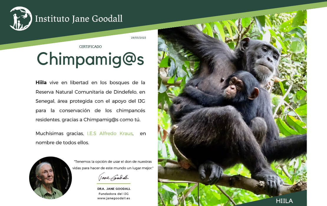 Campaña “Movilízate por la selva”