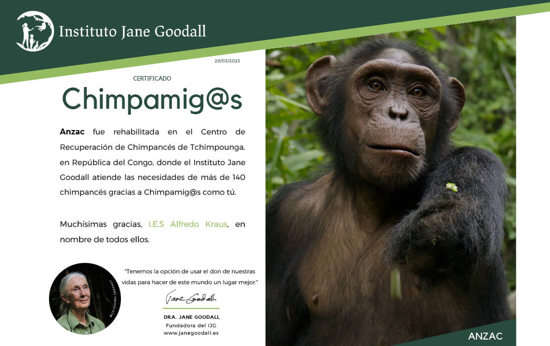 Campaña “Movilízate por la selva”