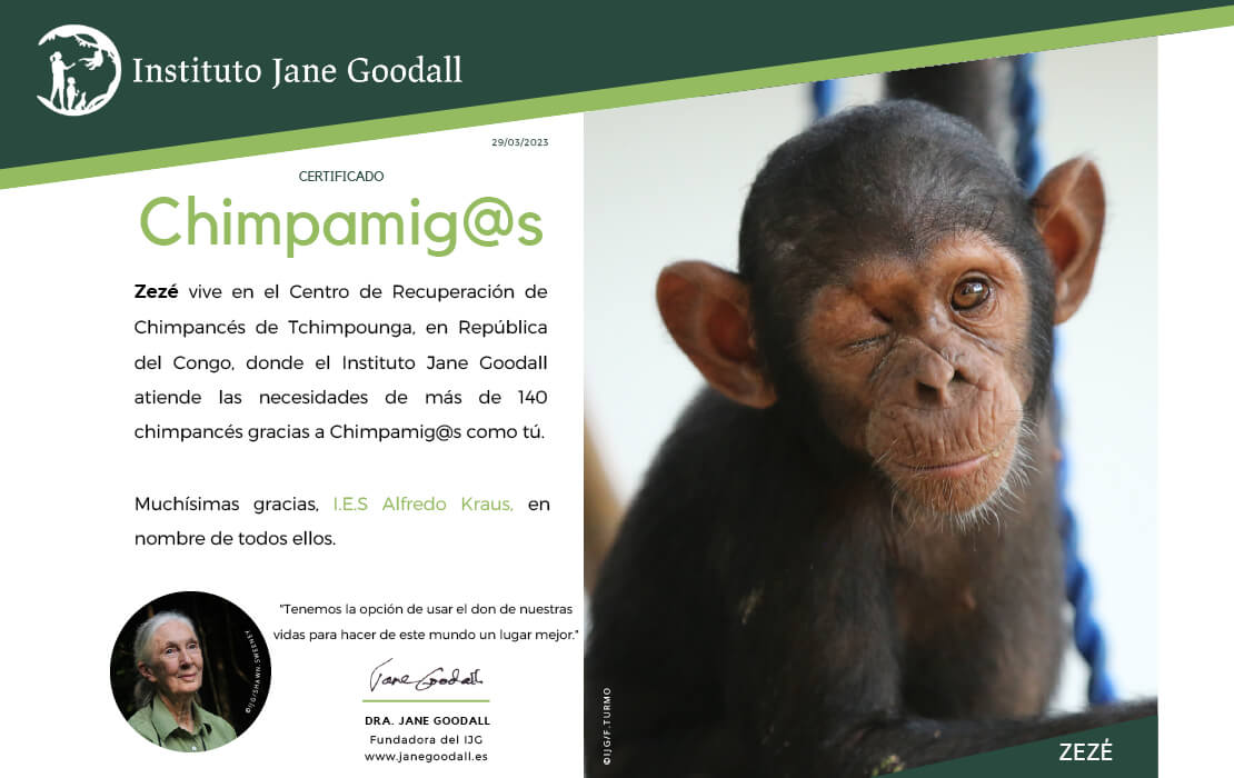 Campaña “Movilízate por la selva”
