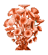Departamento de Biología y Geología
