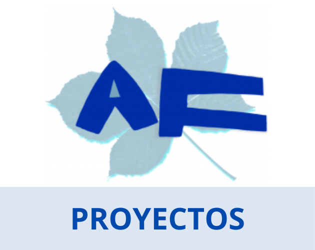 Proyectos