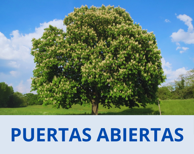 Puertas abiertas