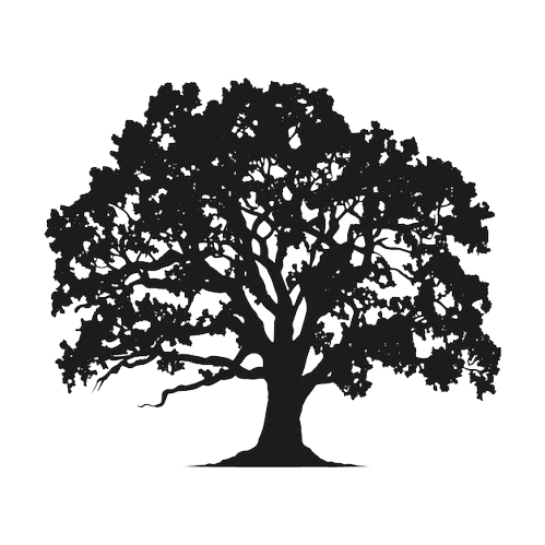 Roble/Raices
