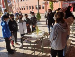 SEMANA DE LA CIENCIA EN EL IES CARLOS BOUSOÑO