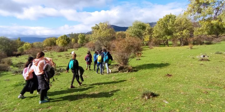 3º ESO  EN EL EMBALSE DE NAVALMEDIO