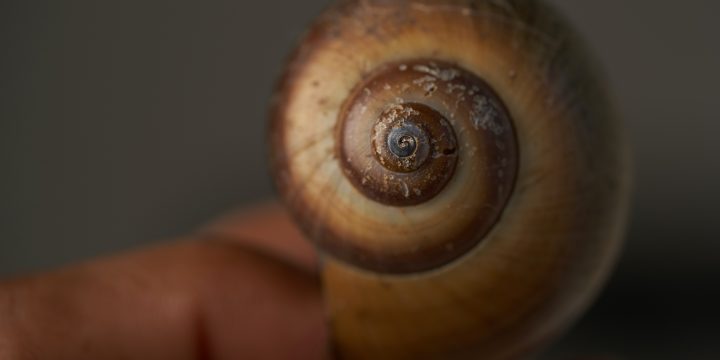 GANADORES DEL CONCURSO DE FOTOGRAFÍA MATEMÁTICA 2021-2022