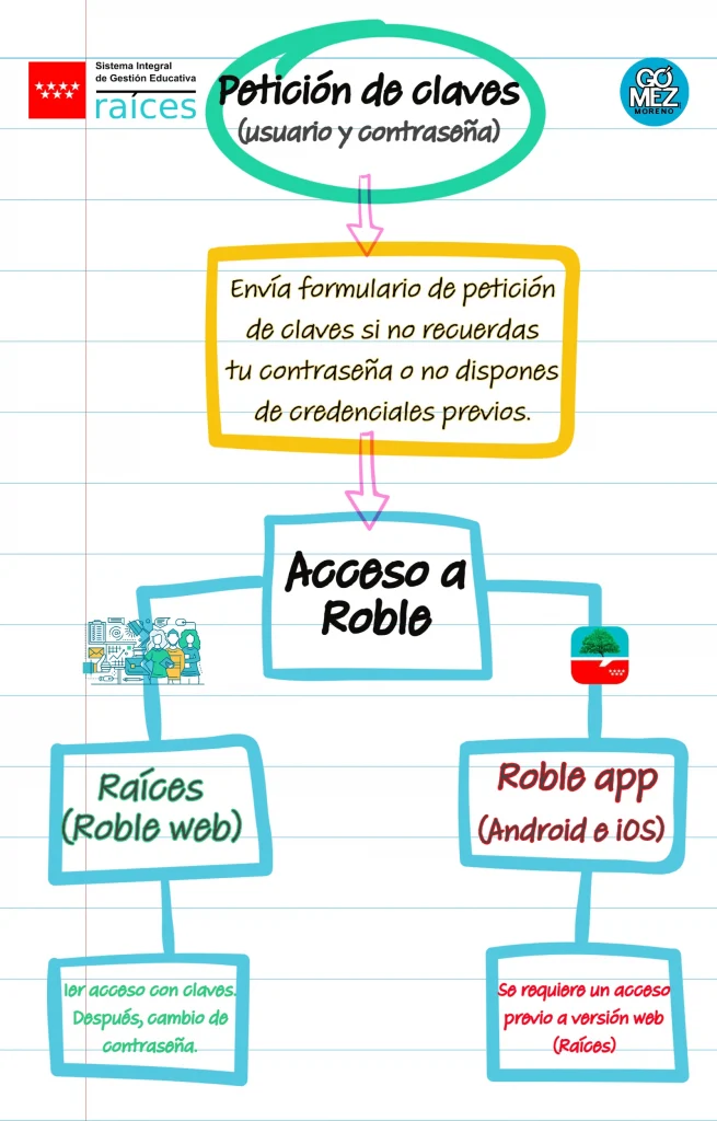 Infografía pasos primer acceso a Raíces