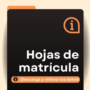 Formalización de matrícula