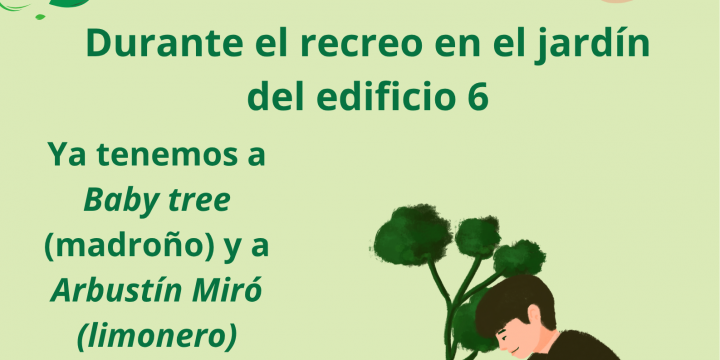 Plantamos un árbol