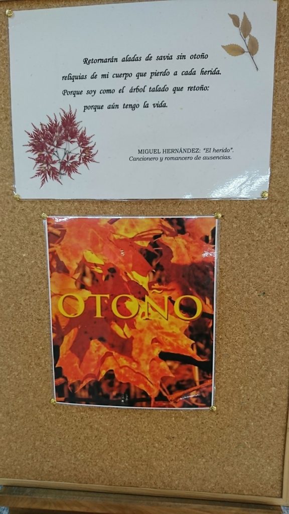 Exposición poemas al Otoño