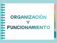 Normas y organización del centro