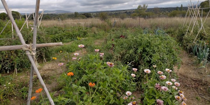 Proyecto «Alimentando el territorio»