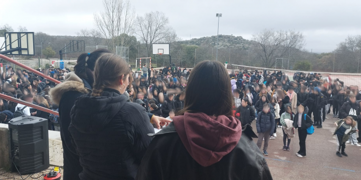 Día Escolar de la Paz y la No Violencia