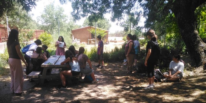 Cierre talleres acuarelas creativas