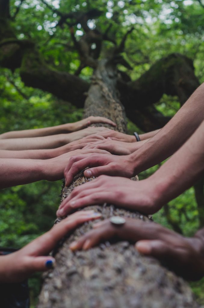 muchas manos sobre un tronco de árbol