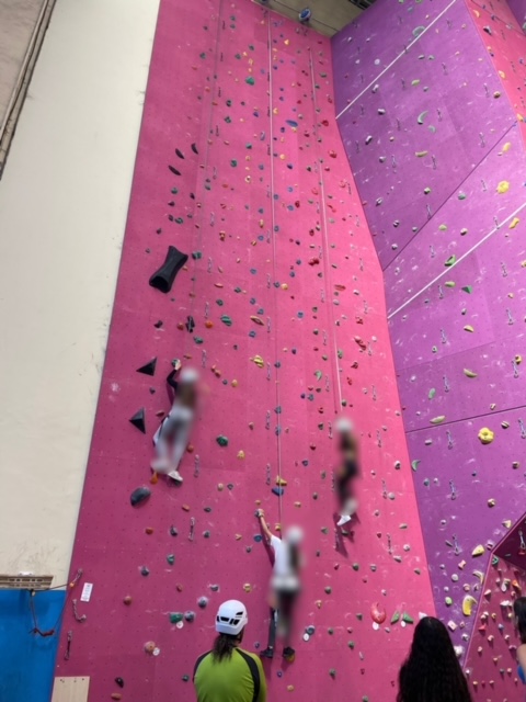 Durante esta semana, todos los grupos de 1º de bachillerato están asistiendo al aula de escalada en el rocódromo municipal de La Elipa 🧗♀️
#iesmaríarodrigo 🏫 #rocódromolaelipa