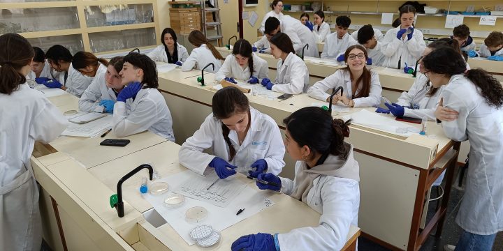Proyecto Micromundo