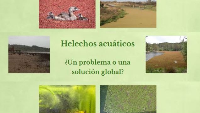 El equipo Water ferns participa en la I cumbre de Detectives del Clima de la Comunidad de Madrid