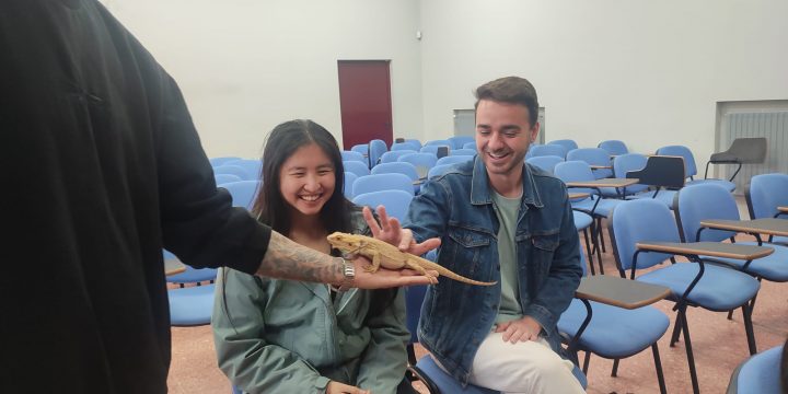 Taller de reptiles