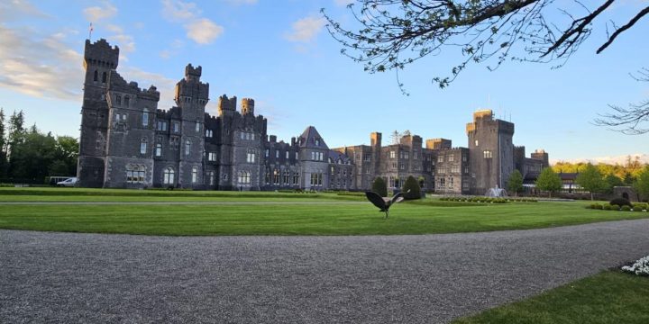 Erasmus de Estética integral en Irlanda