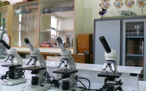 8-microscopios