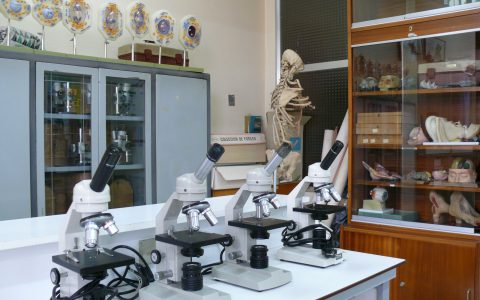 8-microscopios3